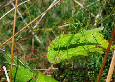 DSCN2434.JPG