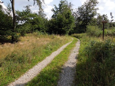 DSCN2445.JPG