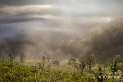 Ungewohnte Herbstimmungen am Morgen im Učka-Nationalpark mitten im Hochsommer!