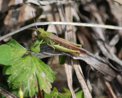 DSC_0013.JPG