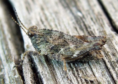 DSCN2770.JPG