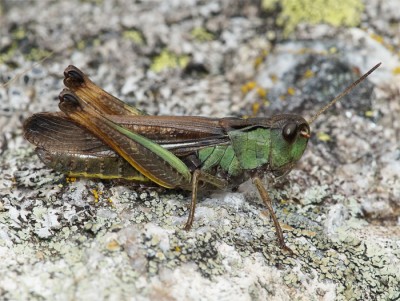 bild3.jpg