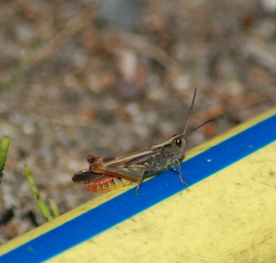 DSC_0020.JPG