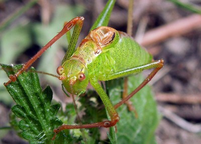 DSCN2651.JPG