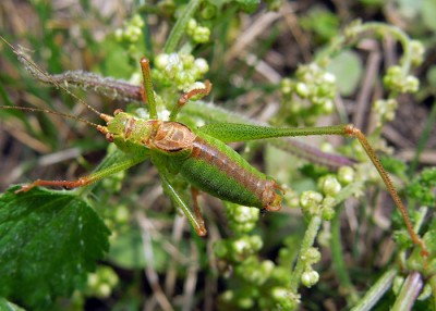 DSCN2660.JPG