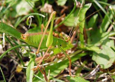DSCN2679.JPG