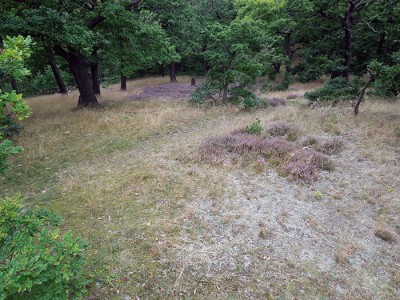 DSCN2637.JPG