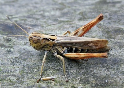 DSCN2642.JPG