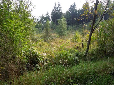 DSCN2865.JPG