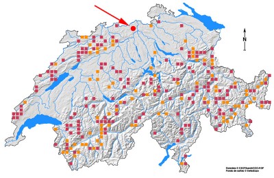 Verbreitungskarte CSCF (29.05.2015)