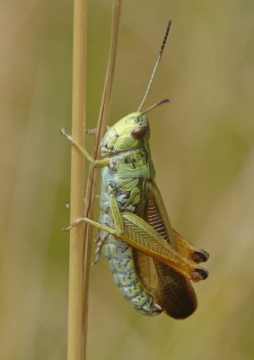 07 07 15_8453 Kopie.jpg