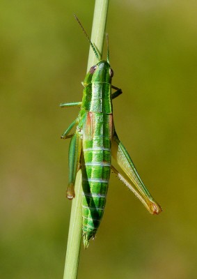 07 07 15_8485 Kopie.jpg