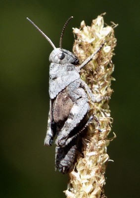 07 07 15_8507 Kopie.jpg