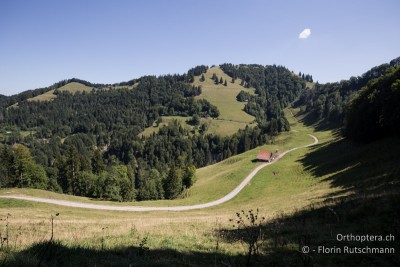 Sicht auf den Gipfel des Schnebelhorns