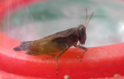 DSCN2712.JPG