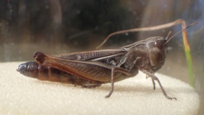 PA100689.JPG