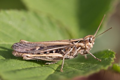 bu_6754_WaAlti_19072015.jpg