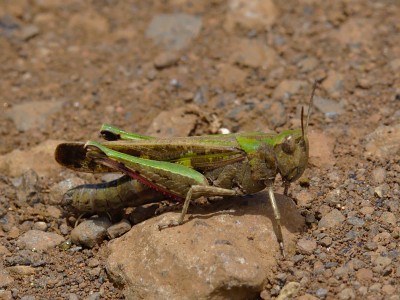 20160524_144759.jpg