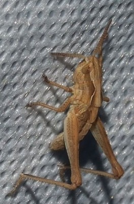 2016_08090069 Ausschnitt.jpg