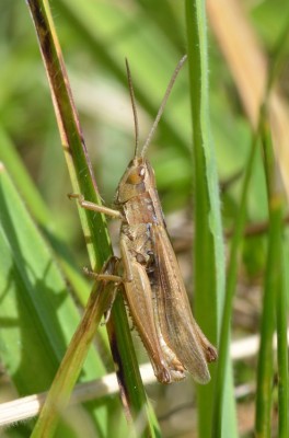 PHH_0335.jpg