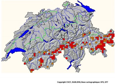 Bohemanella frigida - Verbreitung CSCF stand 20.09.2010 (runder roter Punkt = Alpe Salei)