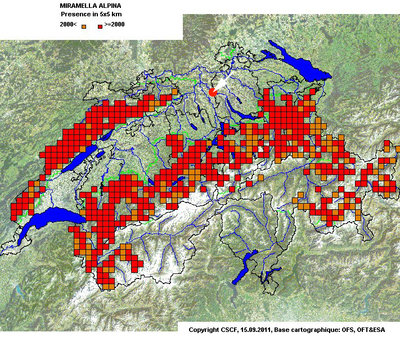 Verbreitung von Miramella alpina mit Standort des Franzosenweihers bei Spreitenbach