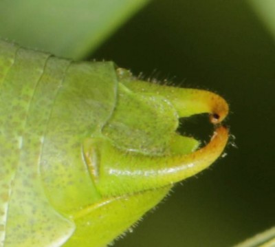 078671-K01.jpg