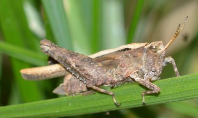 DSC_0120.JPG