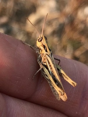 180930_92 - 1.jpg