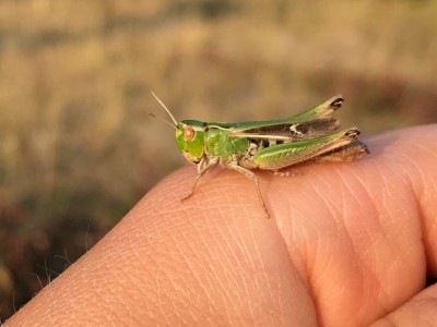 180930_3 - 1.jpg