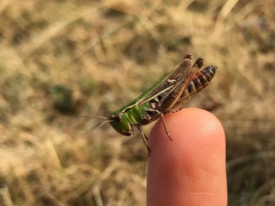 180930_2 - 1.jpg