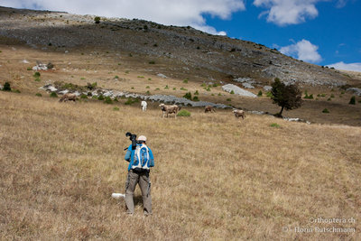 11.10.2011 - Italien, Abruzzen, Palena<br />Oberhalb von Palena suchten wir unter ständiger Beobachtung nach Spezialitäten