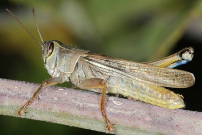 IMG_5965.jpg