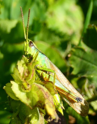 P1039758_k.jpg