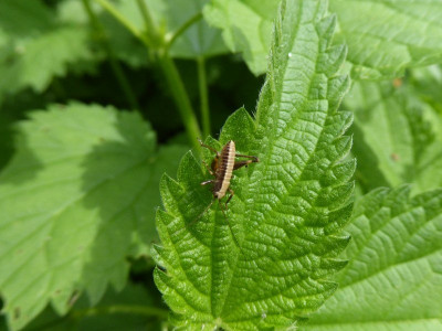 P1070227 (2)_800x600.JPG