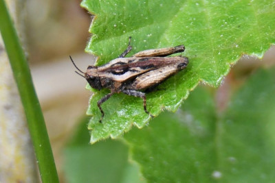 DSC_6012.JPG