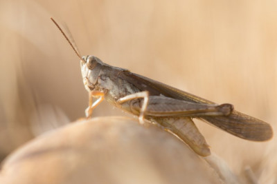 190916_7DII_0106.jpg