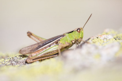 190907_5DIII_0146-3.jpg