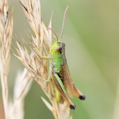DSC_6061.JPG