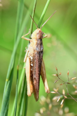 DSC_9119.JPG