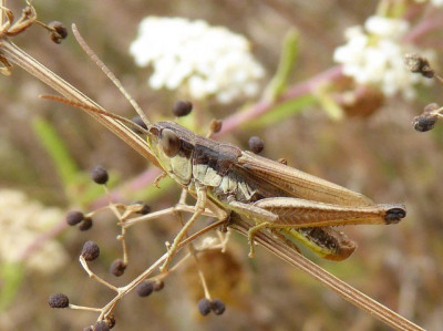 P1080367 (2)_640x479.JPG