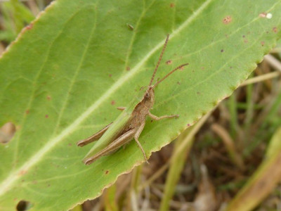P1080284 (2)_640x480.JPG