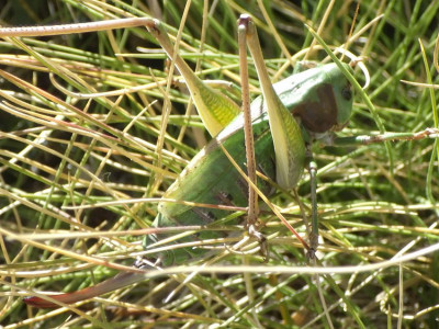 200826-170152_Queyras_Foto-HKöble.jpg