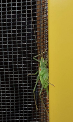 20201108_120956.jpg