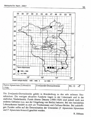 Kartierungsstand 2000 Tetrix bipunctata