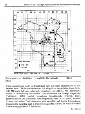 Kartierungsstand 2000 Tetrix tenuicornis