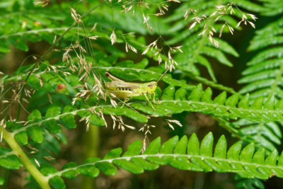 DSC07647_DxO.jpg
