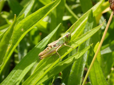 P8062945_0.jpg