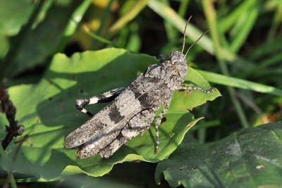 DSC_4151_x.jpg