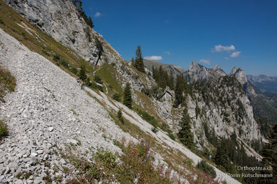 Landschaft am Bäderhorn